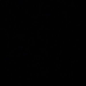 Meet your Posher, Zafarie